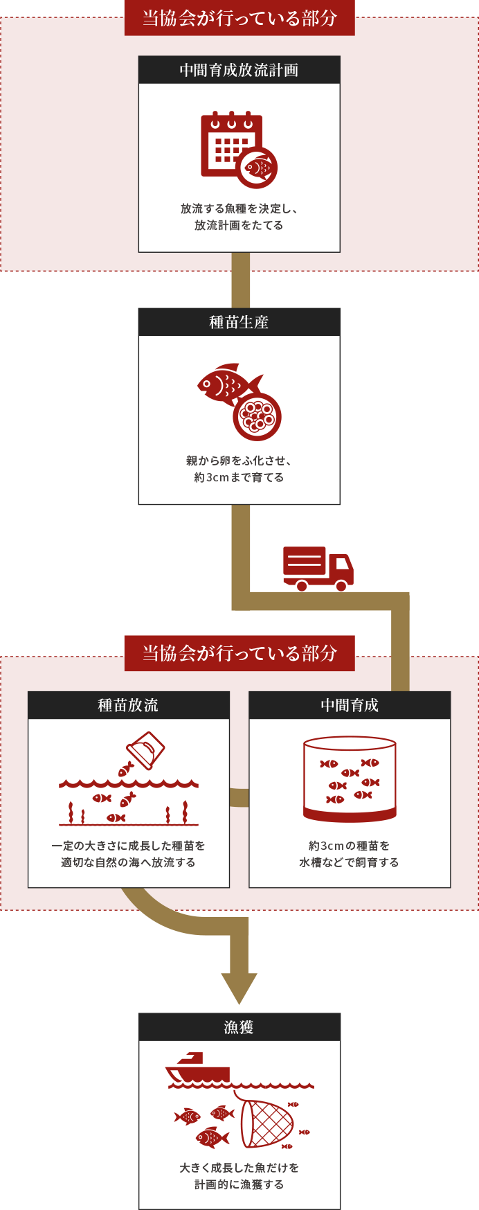 栽培漁業 公益社団法人 山口県光 熊毛地区栽培漁業協会